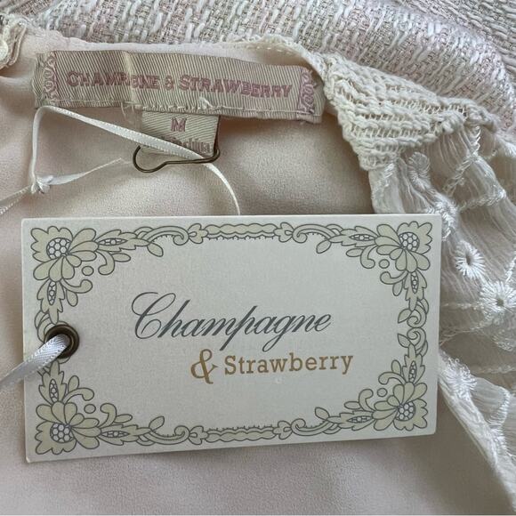 Anthropologie Champagne & Strawberry Fabric Mix Cream Sheath Dress Size M NWT - Picture 12 of 14